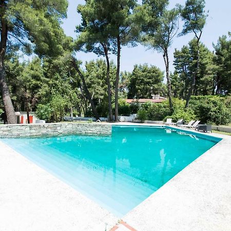 Villa Irini In Sani Sani  Exteriör bild