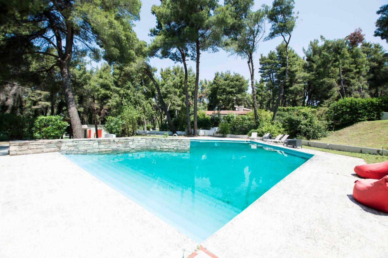 Villa Irini In Sani Sani  Exteriör bild