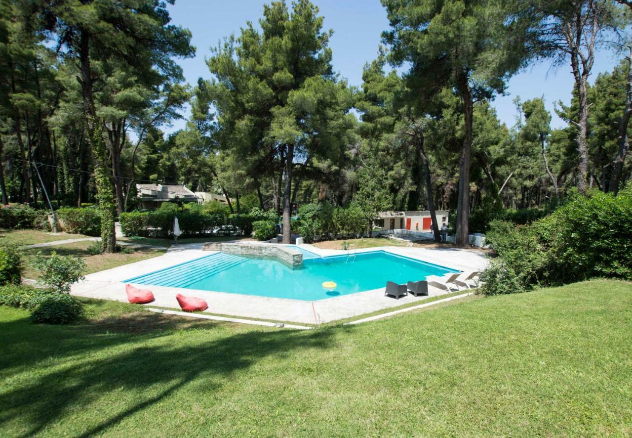 Villa Irini In Sani Sani  Exteriör bild