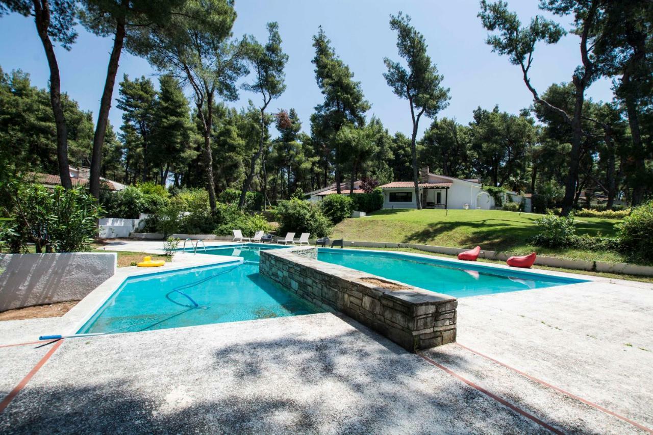 Villa Irini In Sani Sani  Exteriör bild