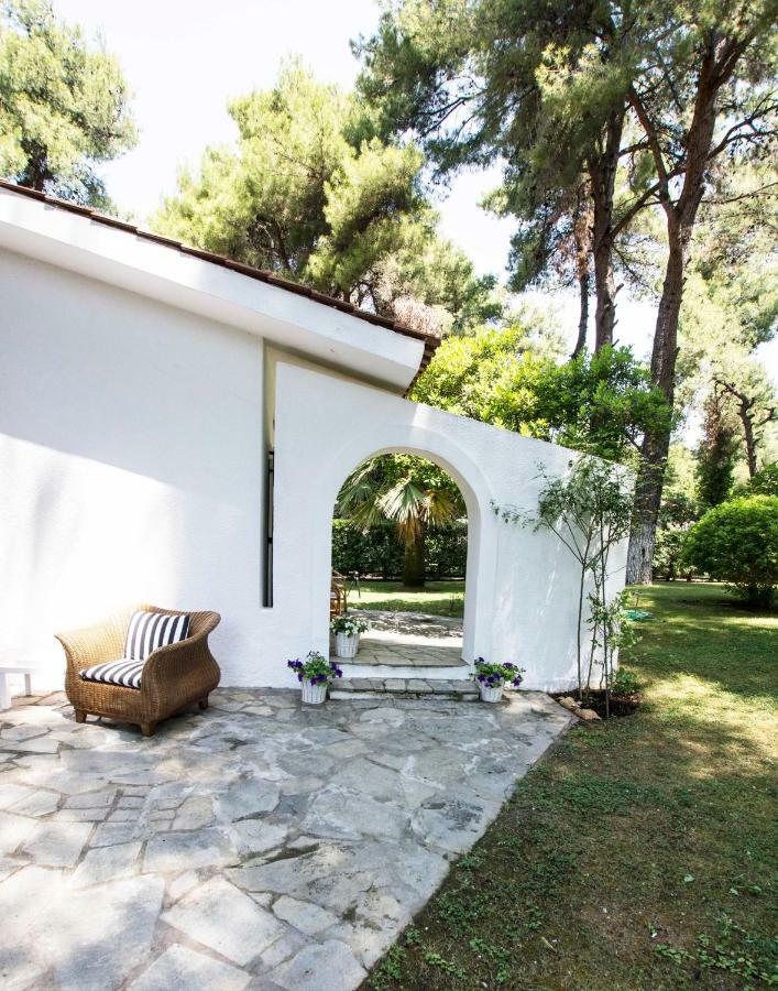 Villa Irini In Sani Sani  Exteriör bild