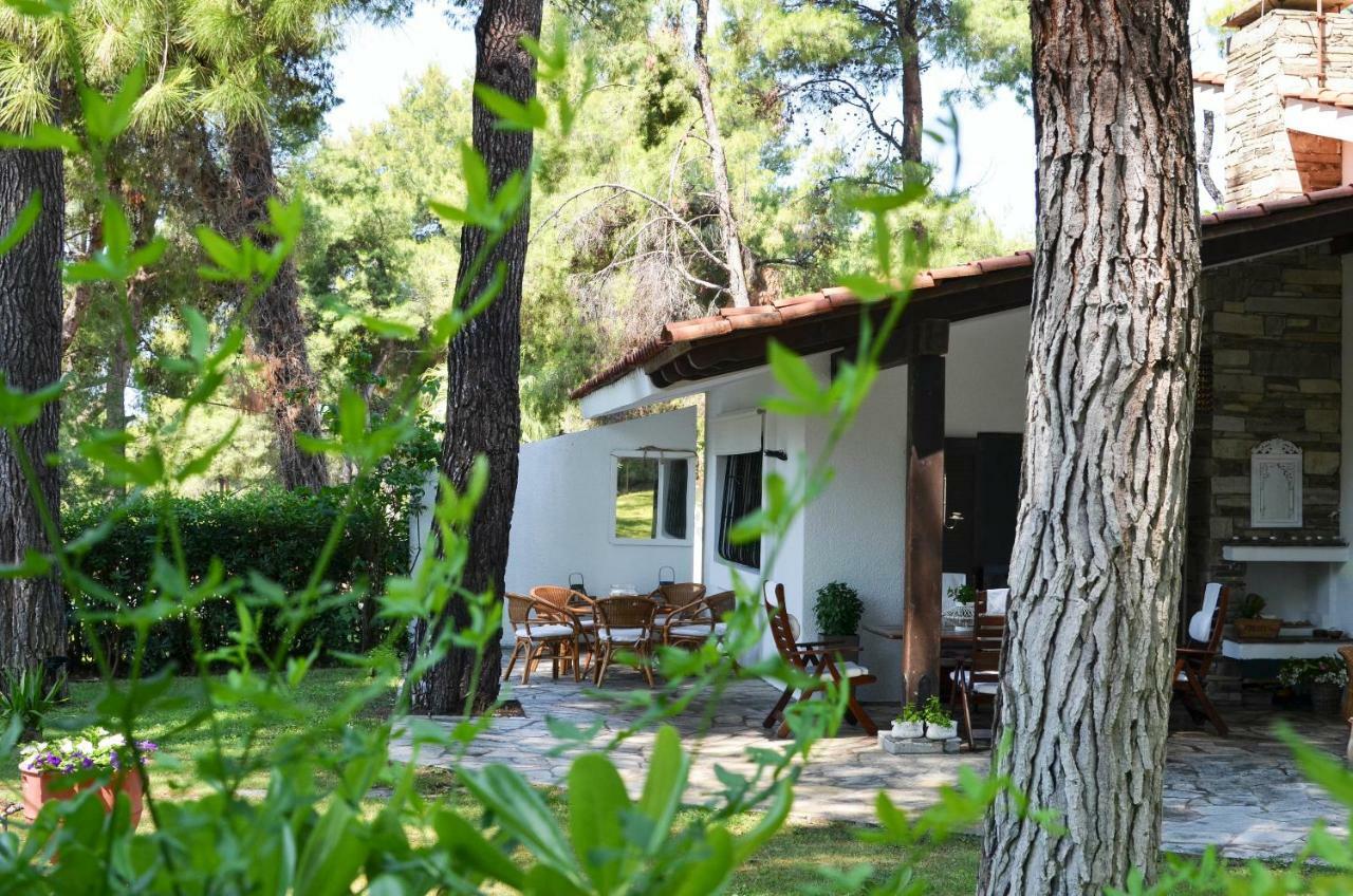 Villa Irini In Sani Sani  Exteriör bild