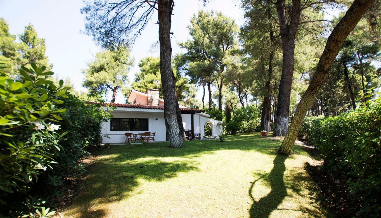 Villa Irini In Sani Sani  Exteriör bild