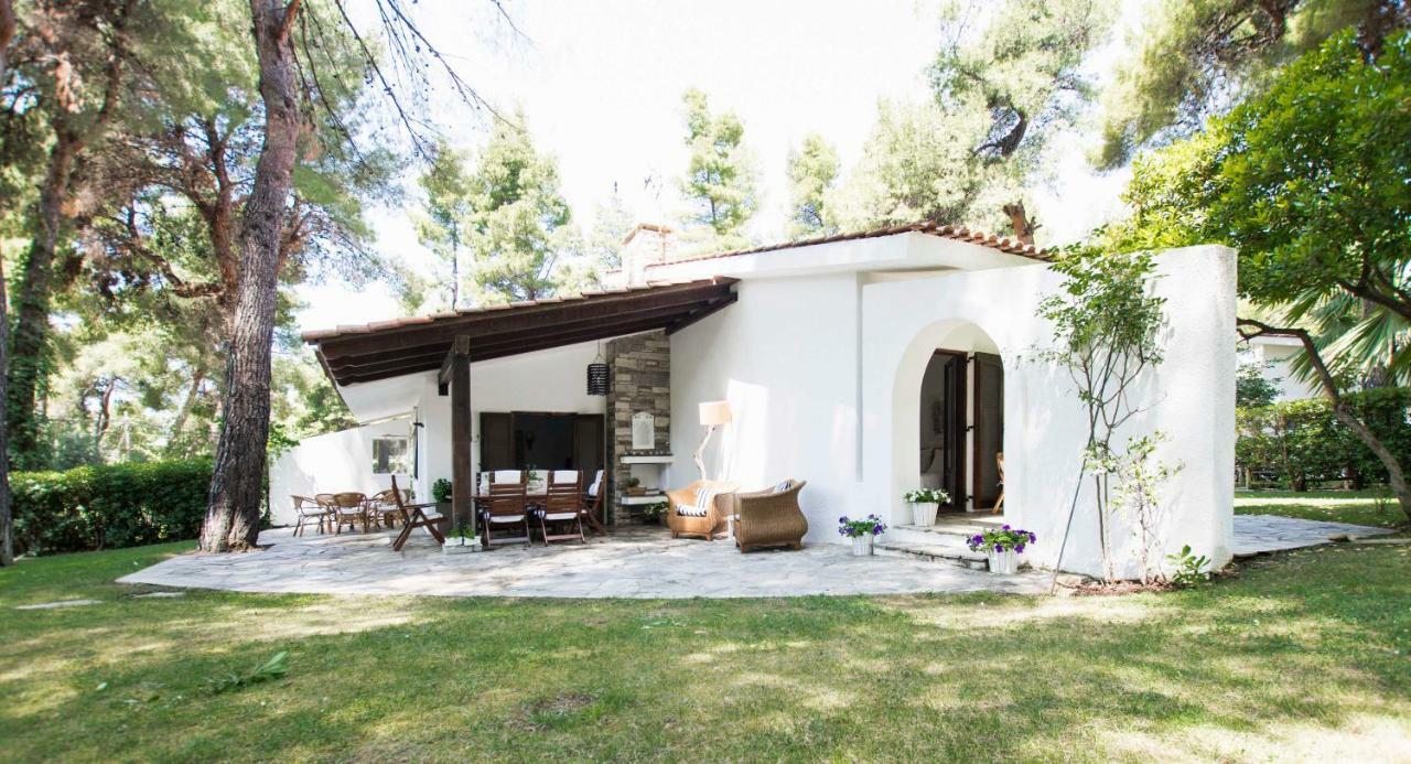 Villa Irini In Sani Sani  Exteriör bild