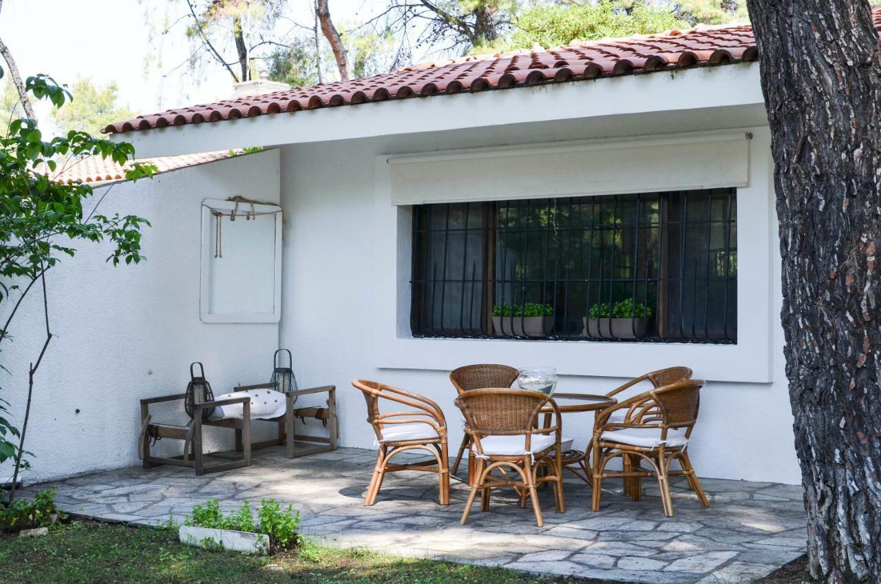 Villa Irini In Sani Sani  Exteriör bild
